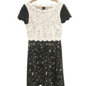 Nue by Shani lasercut lace overlay scalloped dress